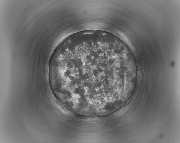 X0000089881035200707262205