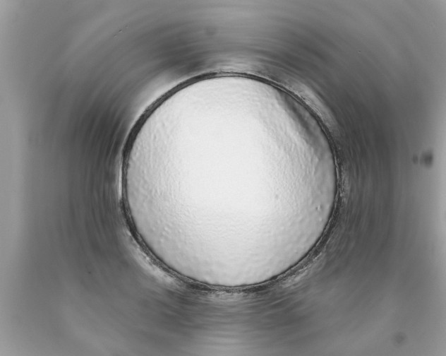 X0000089881036200707262205