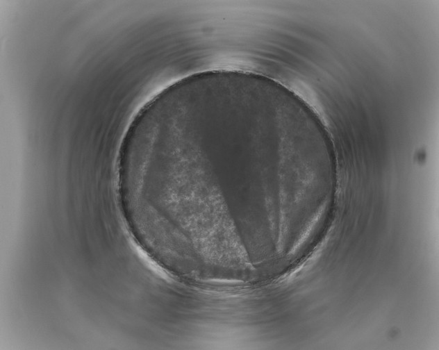 X0000089881037200707262205