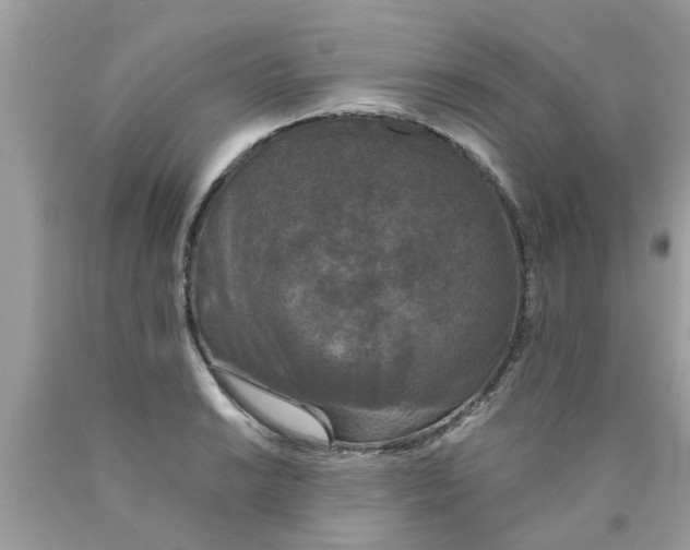 X0000089881038200707262205