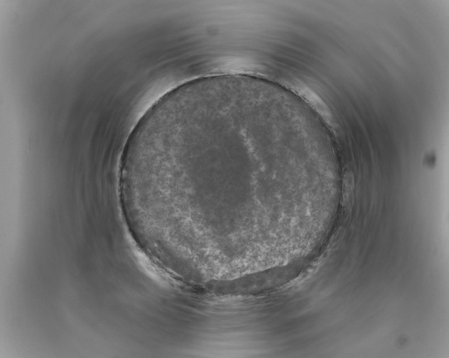 X0000089881039200707262205