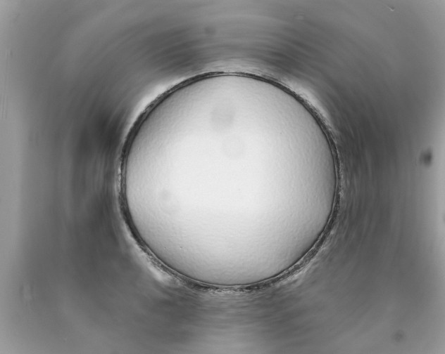 X0000089881040200707262205