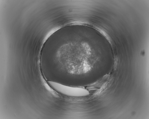 X0000089881042200707262206