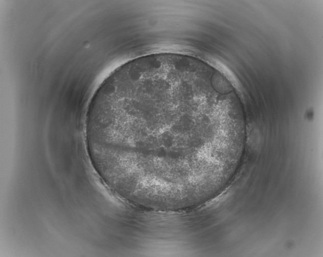 X0000089881043200707262206