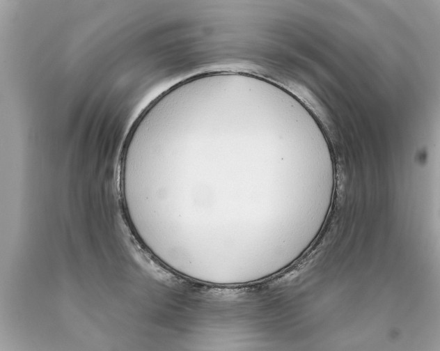 X0000089881044200707262206