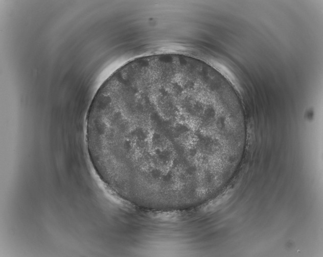 X0000089881047200707262206