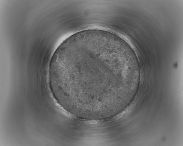 X0000089881048200707262206