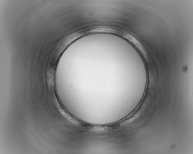 X0000089881049200707262206