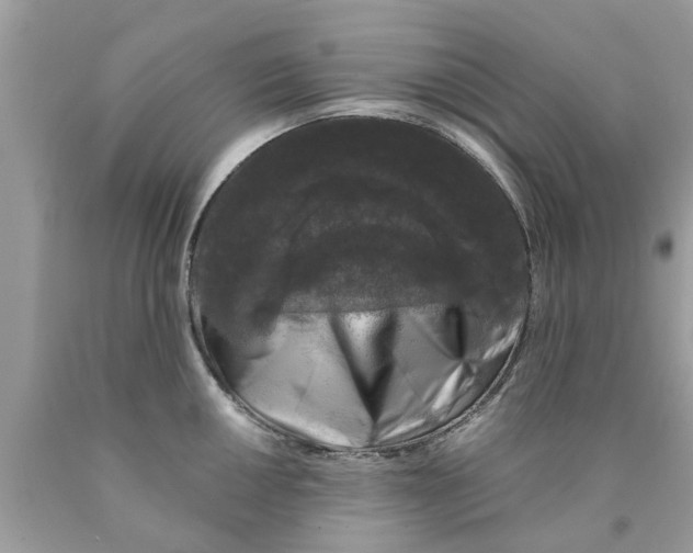 X0000089881050200707262206