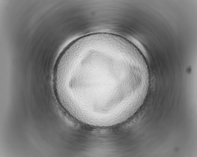 X0000089881051200707262206