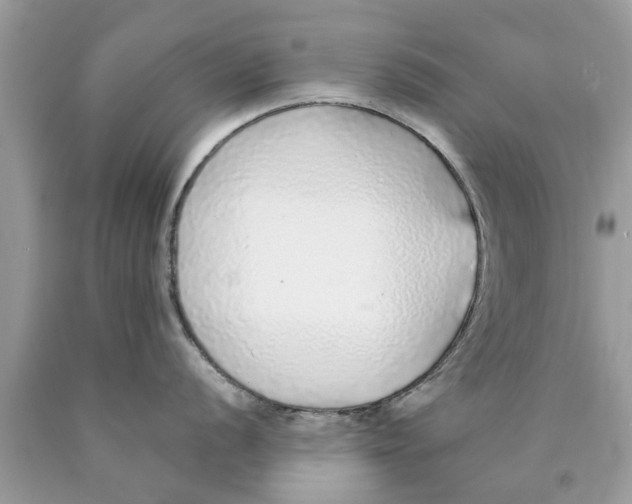 X0000089881056200707262206