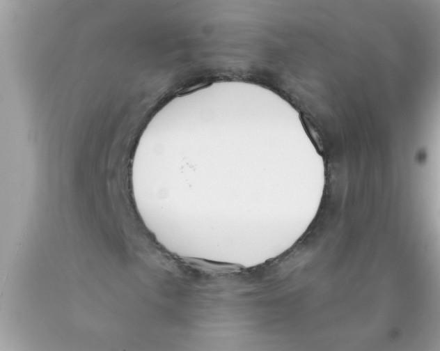 X0000089881057200707262205