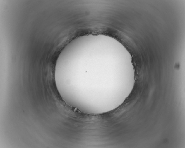 X0000089881058200707262205