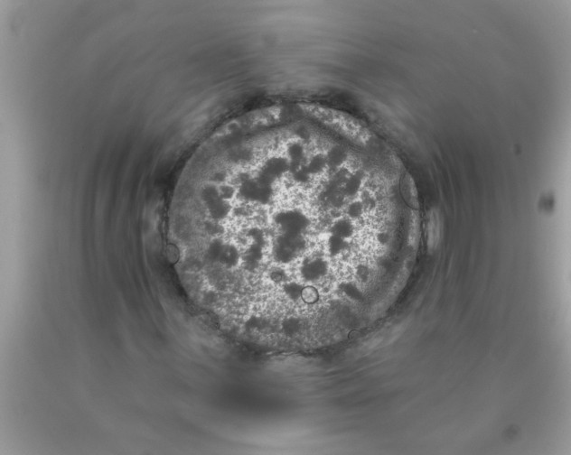 X0000089881059200707262205