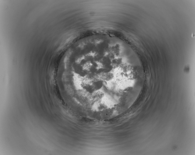 X0000089881060200707262205