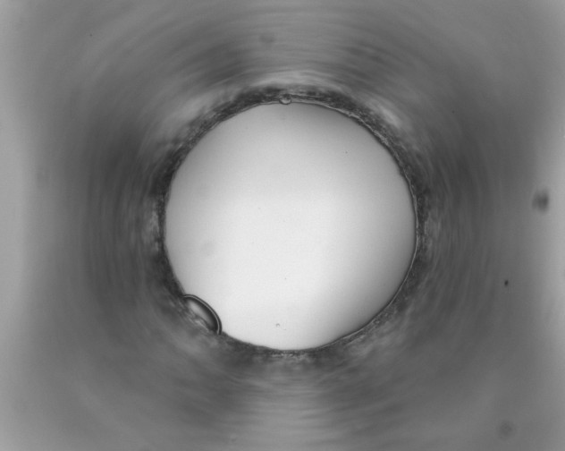 X0000089881062200707262205