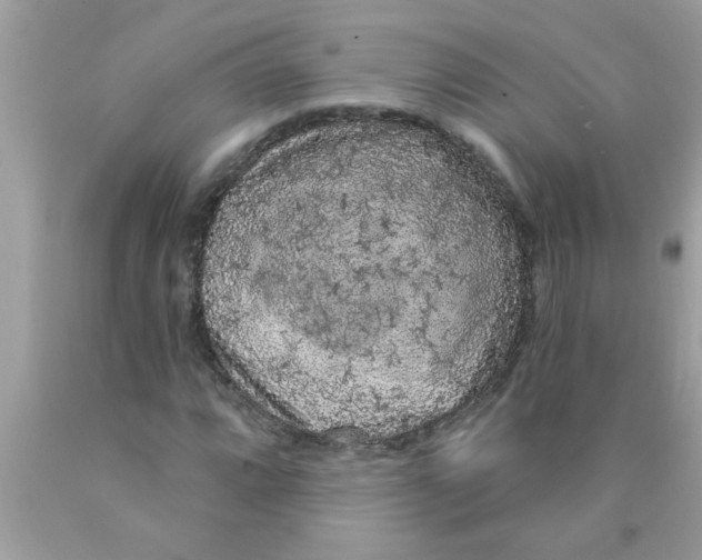 X0000089881064200707262205
