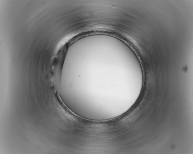 X0000089881066200707262205