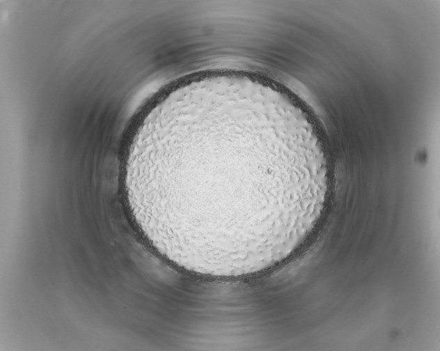 X0000089881067200707262205