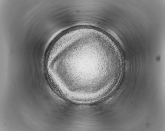 X0000089881068200707262205