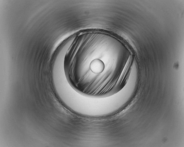 X0000089881069200707262205