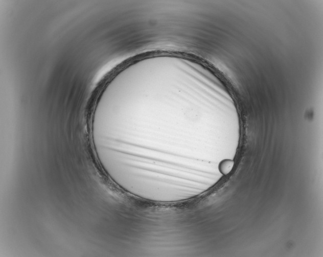 X0000089881070200707262205