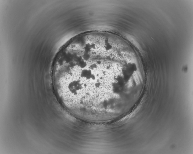 X0000089881071200707262205