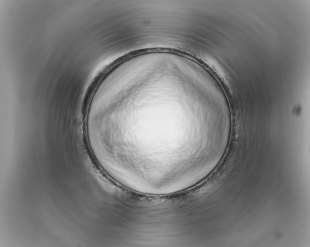 X0000089881072200707262205