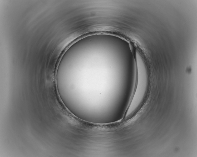 X0000089881073200707262205