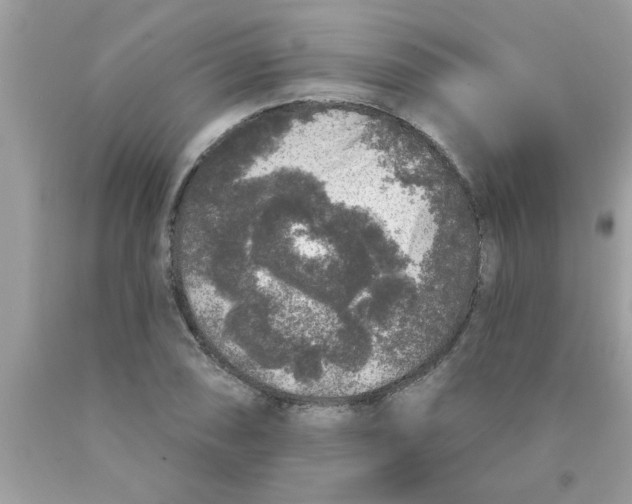 X0000089881074200707262205