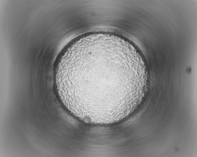 X0000089881075200707262205