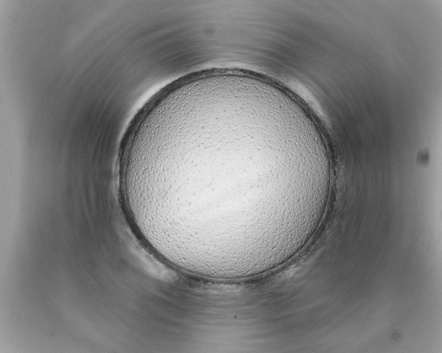 X0000089881076200707262205