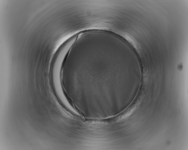 X0000089881077200707262205