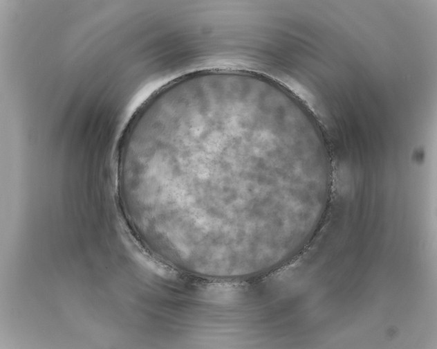 X0000089881078200707262205