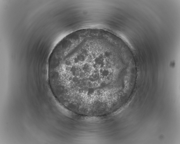 X0000089881079200707262205