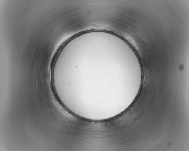 X0000089881080200707262205