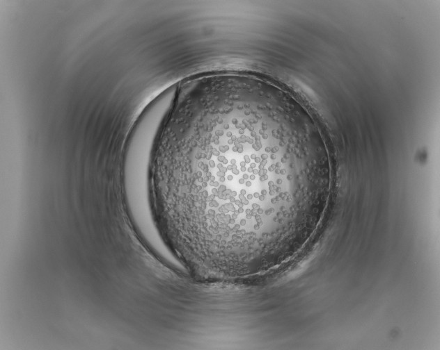 X0000089881081200707262205