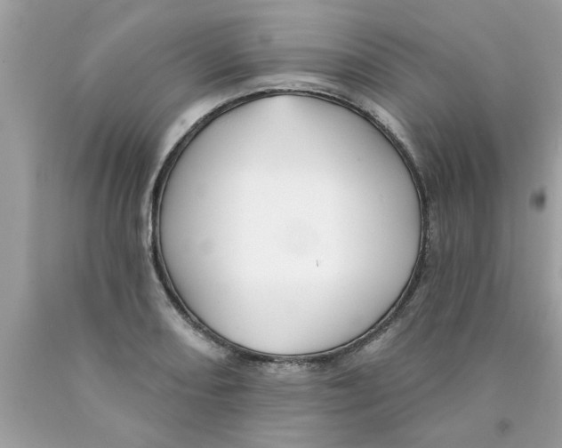 X0000089881082200707262205