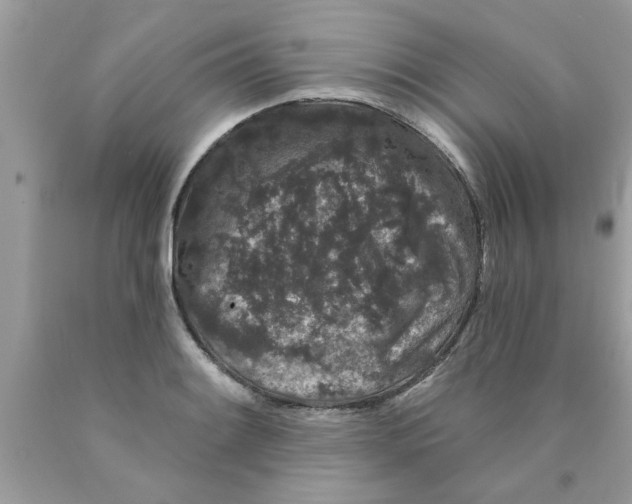 X0000089881084200707262205