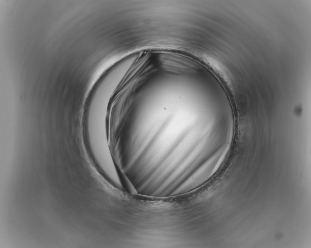 X0000089881085200707262205