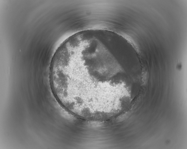 X0000089881086200707262205