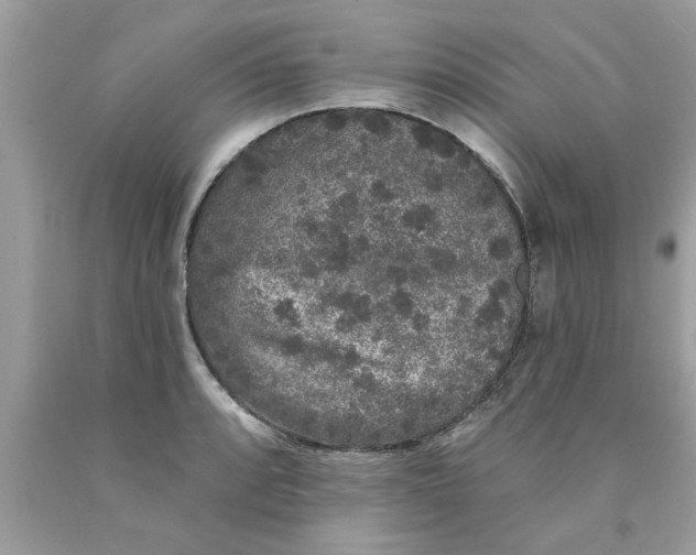 X0000089881088200707262205