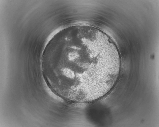 X0000089881090200707262205