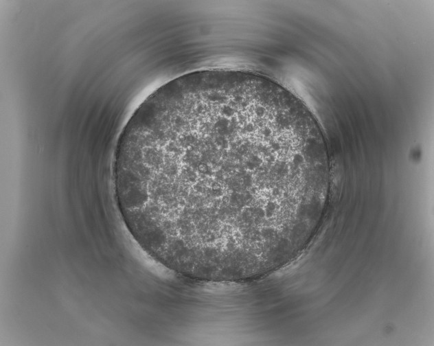 X0000089881091200707262205