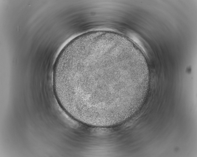 X0000089881092200707262205