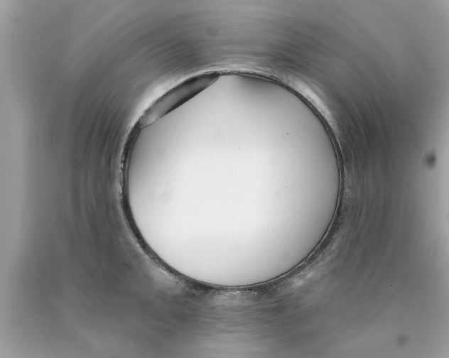 X0000089881093200707262205