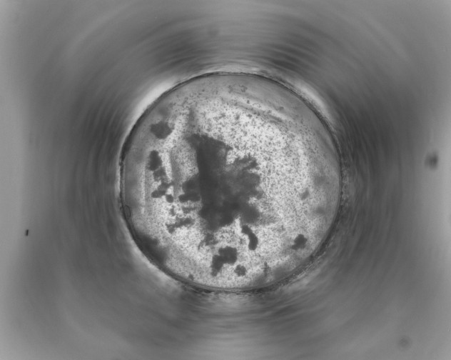 X0000089881095200707262205