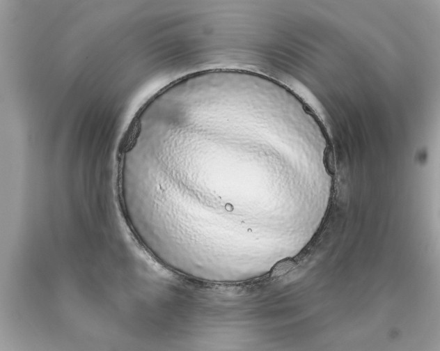 X0000089881096200707262205