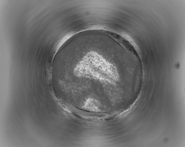 X0000089881097200707262205