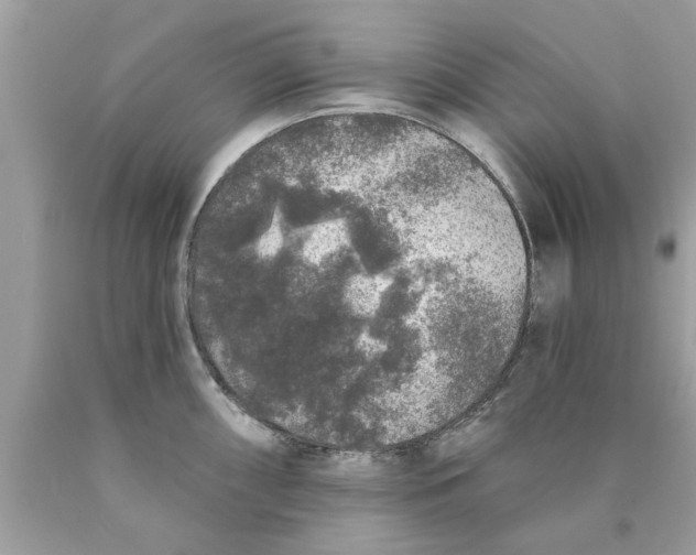 X0000089881098200707262205